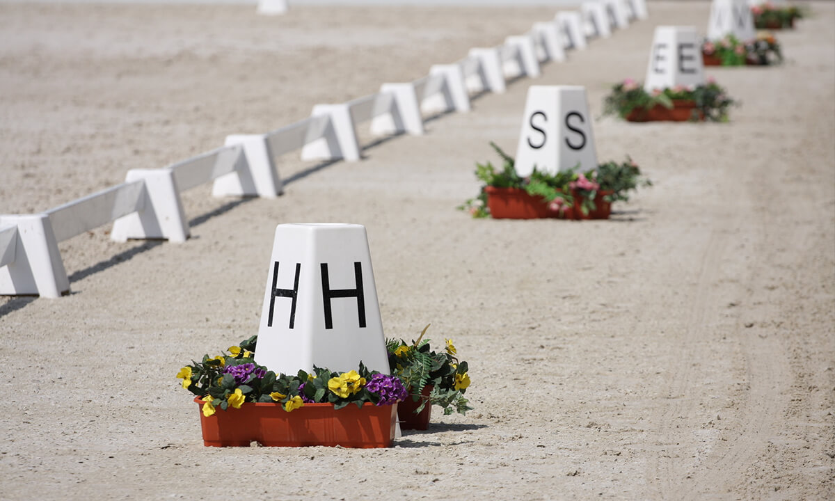 dressage letters