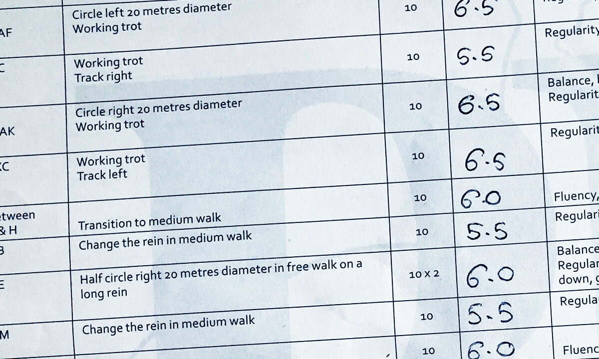 dressage score
