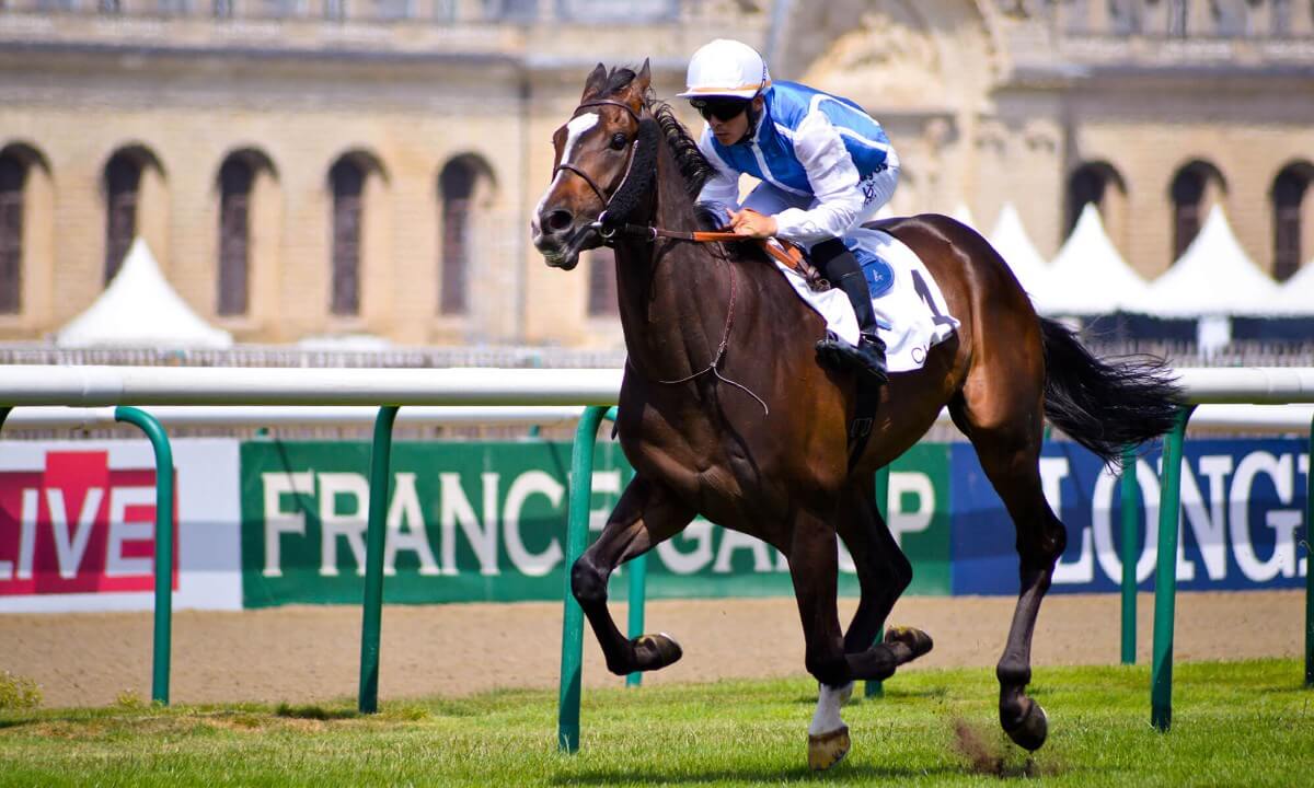 horse racing