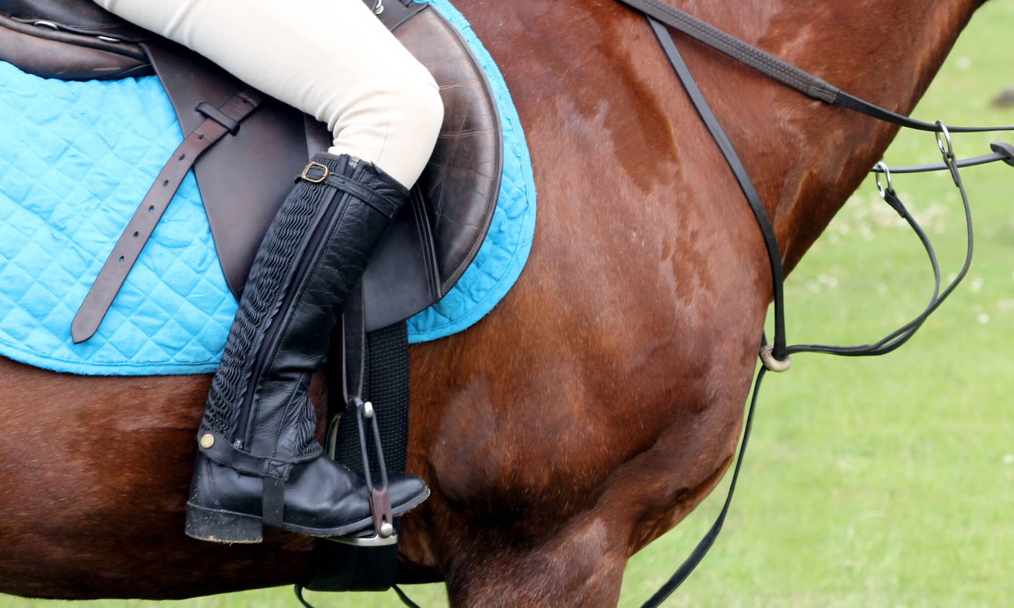 horse riding chaps, gaiters
