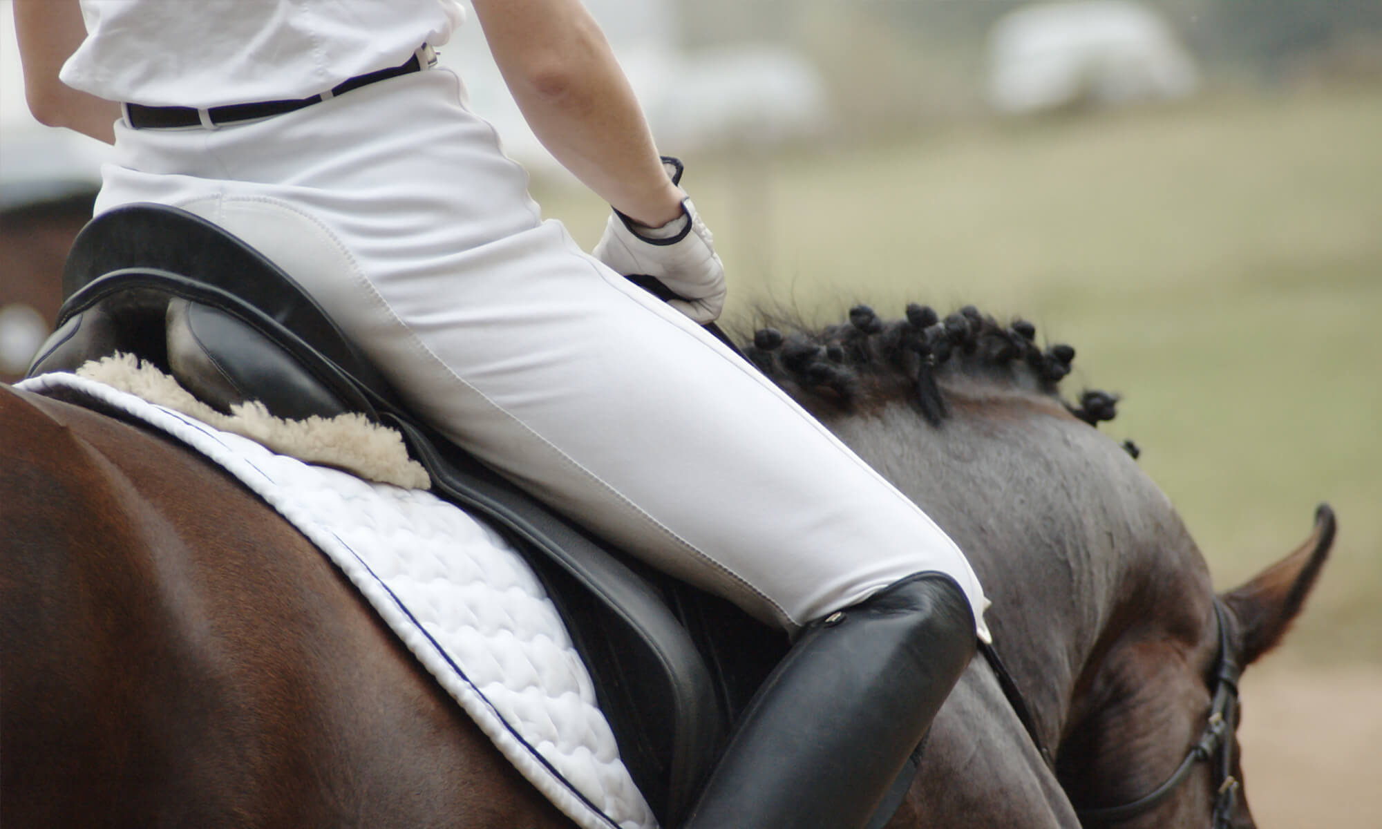 horse riding jodhpurs, breeches